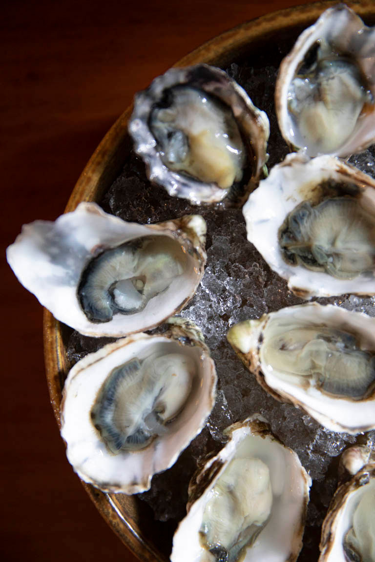 oysters in the shell on a plate of ice